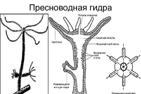 Кракен как зайти ссылка