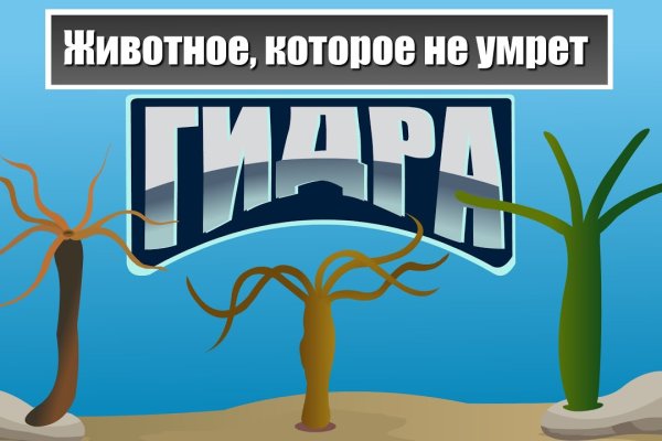 Кракен топ